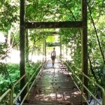 Lampi There's a man on the bridge