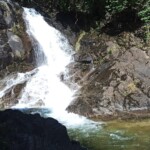 There's a man on the rock