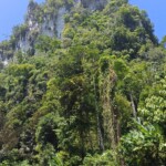 Khao Sok National Park