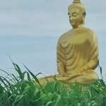 Buddha over Ricefields