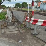 Monkeys in Lopburi