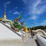 Painted and unpainted parts