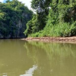 speedboat raft morining trip