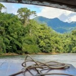 Speedboat morning trip