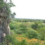 Parthurat Mirror viewpoint