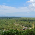 Phra Yai Buddha's Sea View