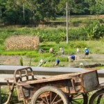 Working in the field