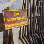 Don't use the guns please