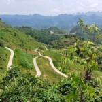 Long and Winding road