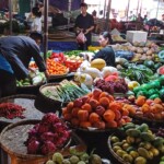 Fruit stalls Dong Van market