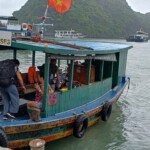 Cat Ba Venezia Cruise