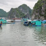 Cat Ba Floating shops
