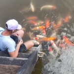 Hue Khiem Tomb Koi fish