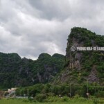 phong nha