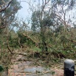 Kenting Typhoon Koinu