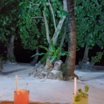 Sex on the Beach & Mojito!